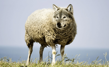 wolf threat modeling